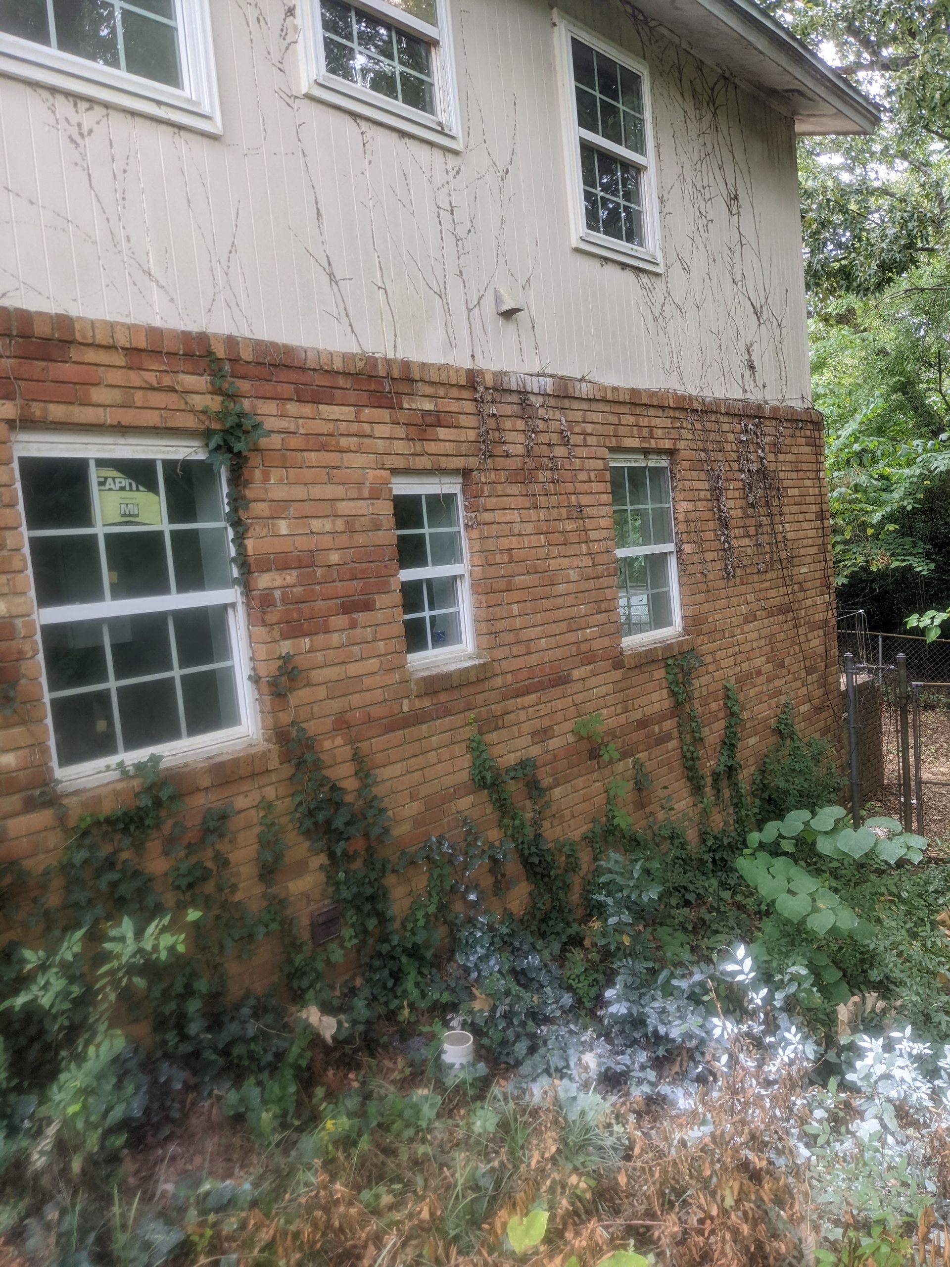 A brick building with a lot of windows and plants growing on it.