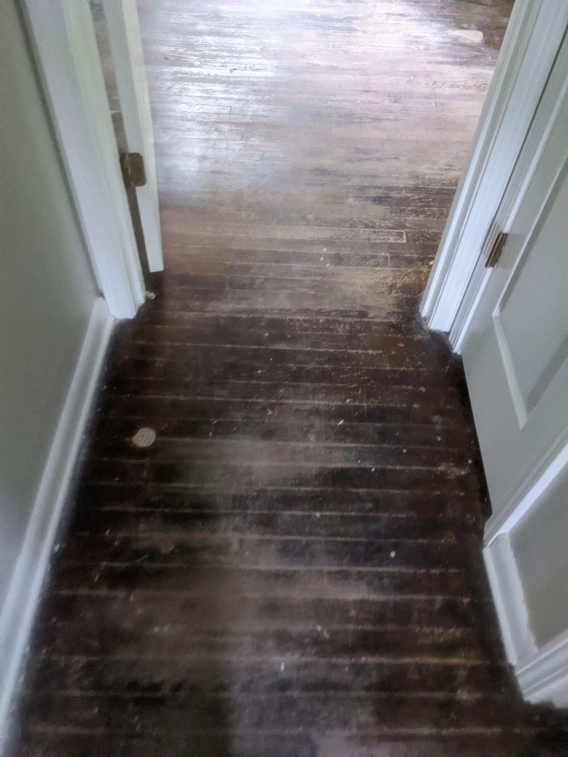 A hallway with a wooden floor and white doors
