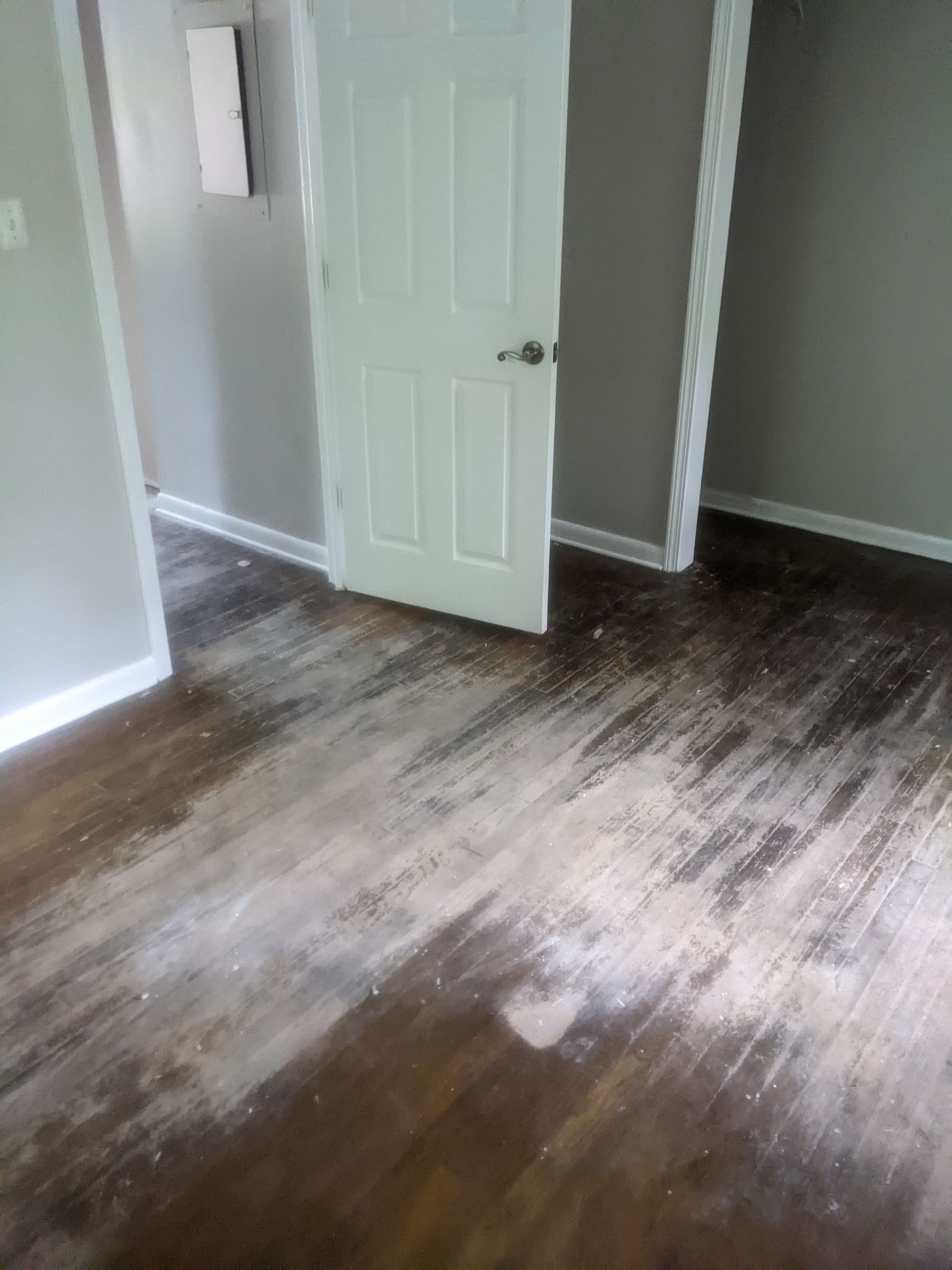 A room with a wooden floor and a white door.