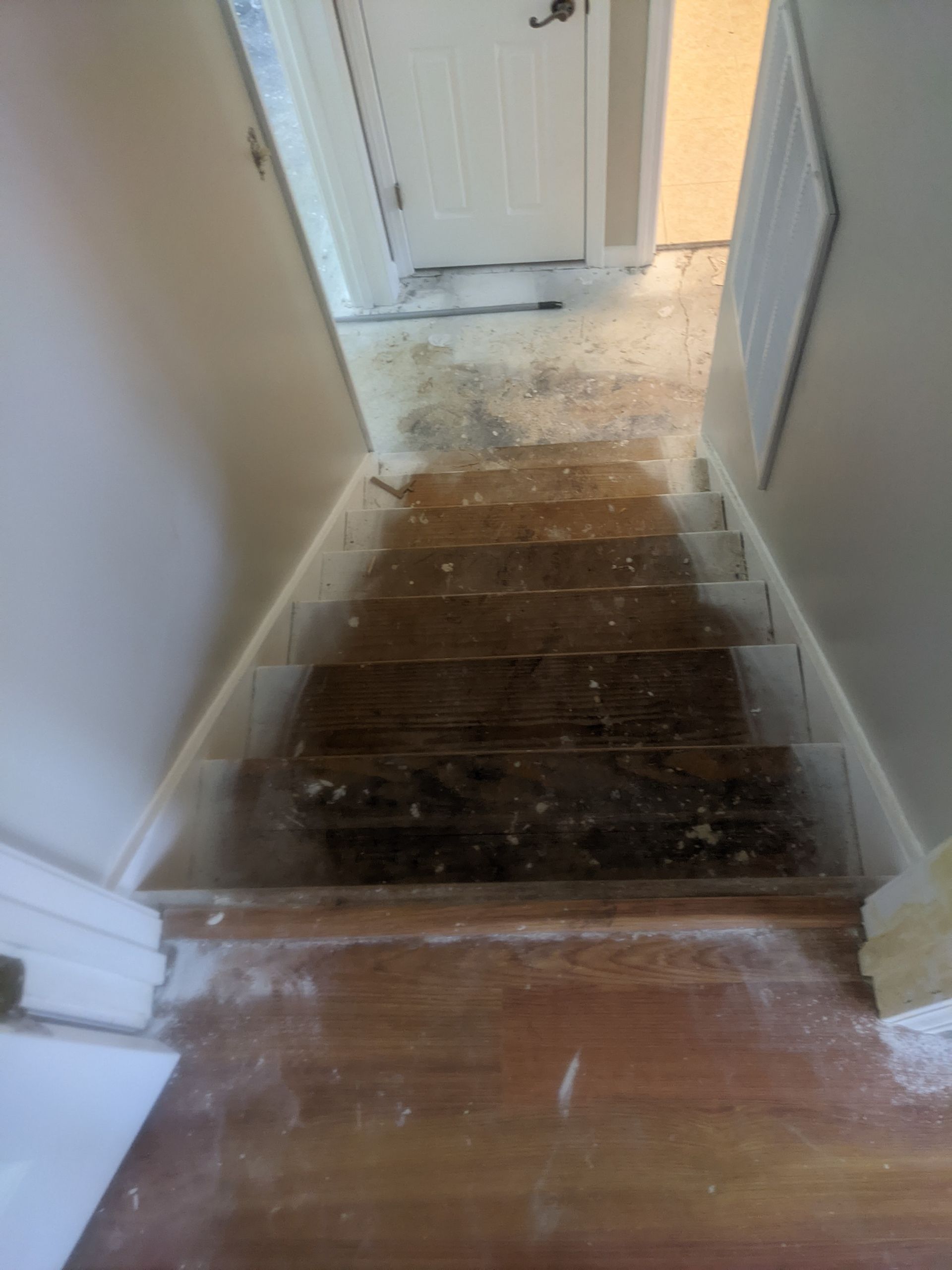 A hallway with wooden stairs leading up to a door.
