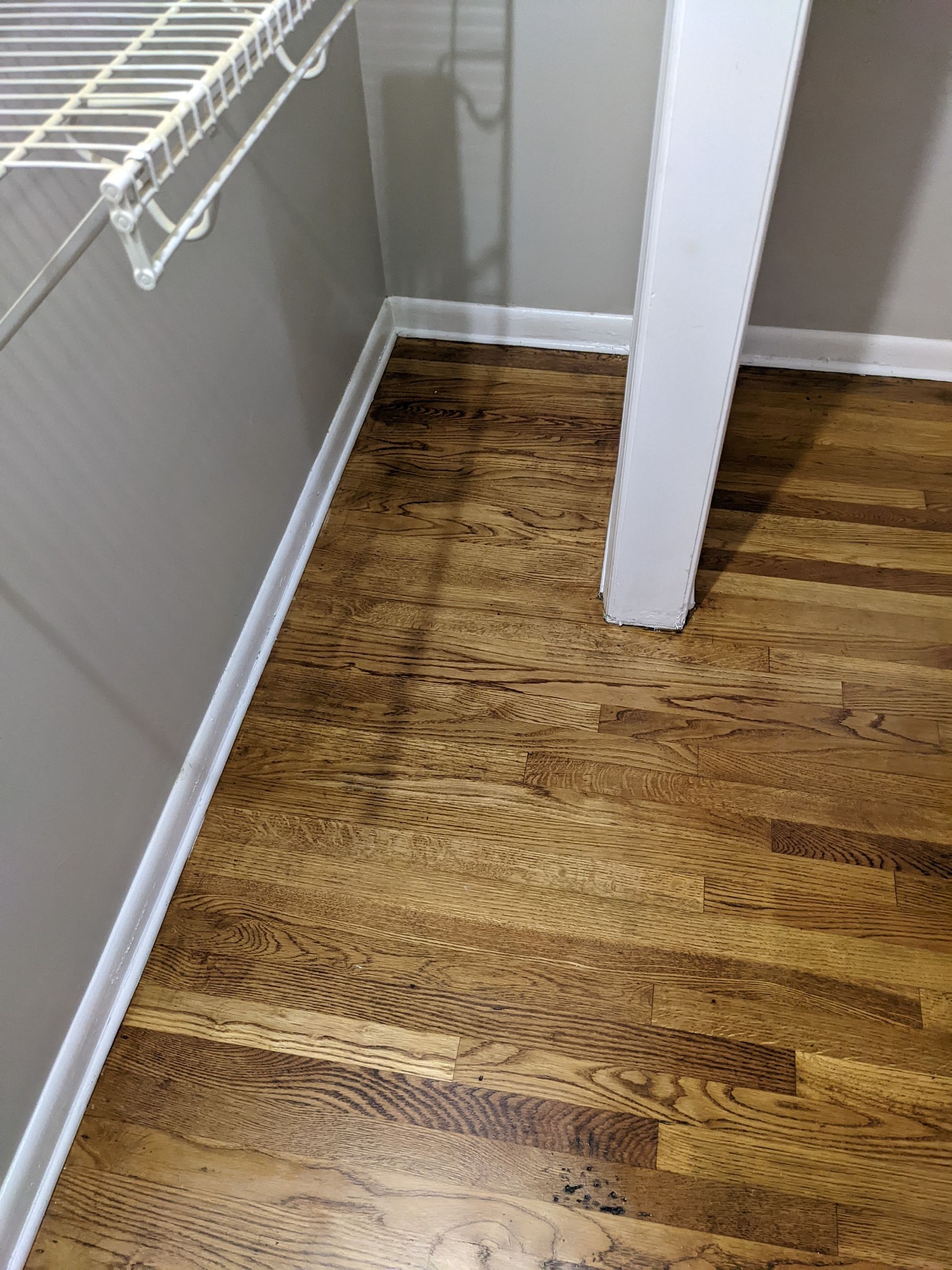 A closet with hardwood floors and a white shelf.