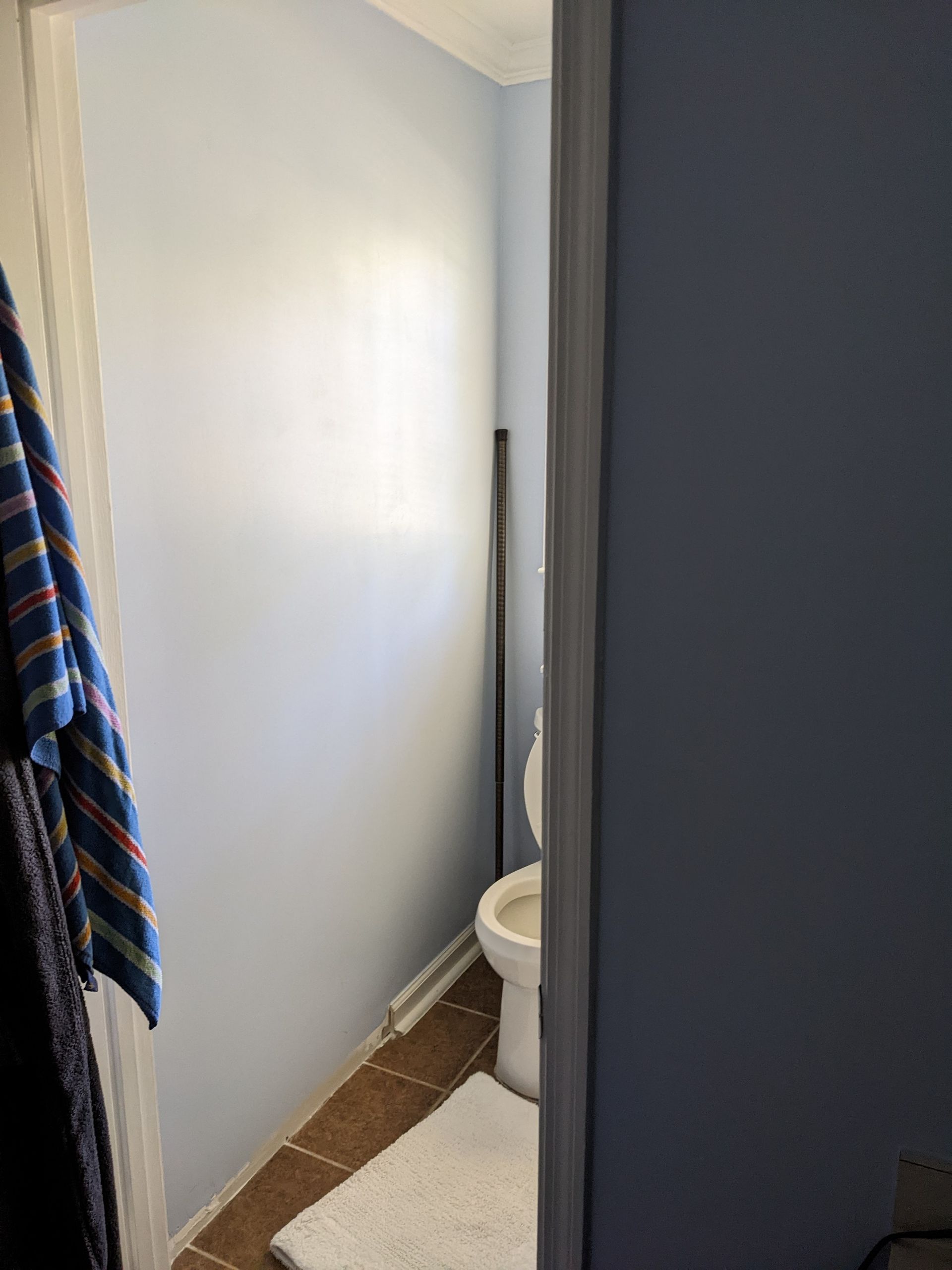 A bathroom with a toilet and a towel hanging on the wall.