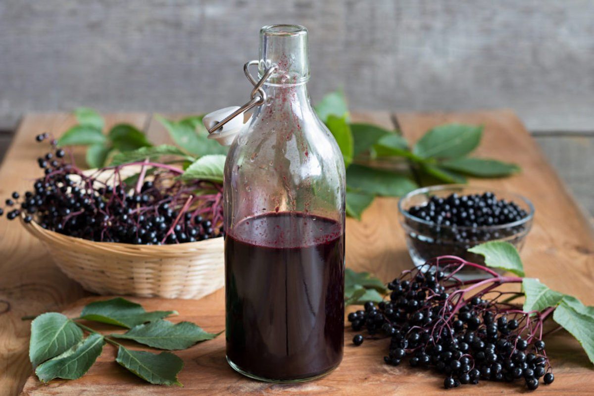 Protection from a Bad Flu Year with Elderberry