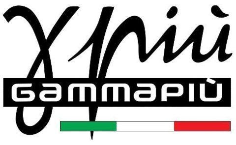 GAMMAPIù-LOGO