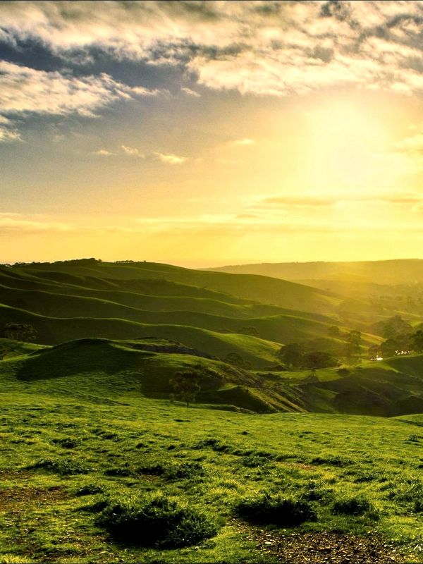 The sun is setting over a grassy hillside