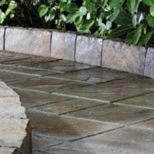 Stone walkway with a border of rectangular stones and green foliage.