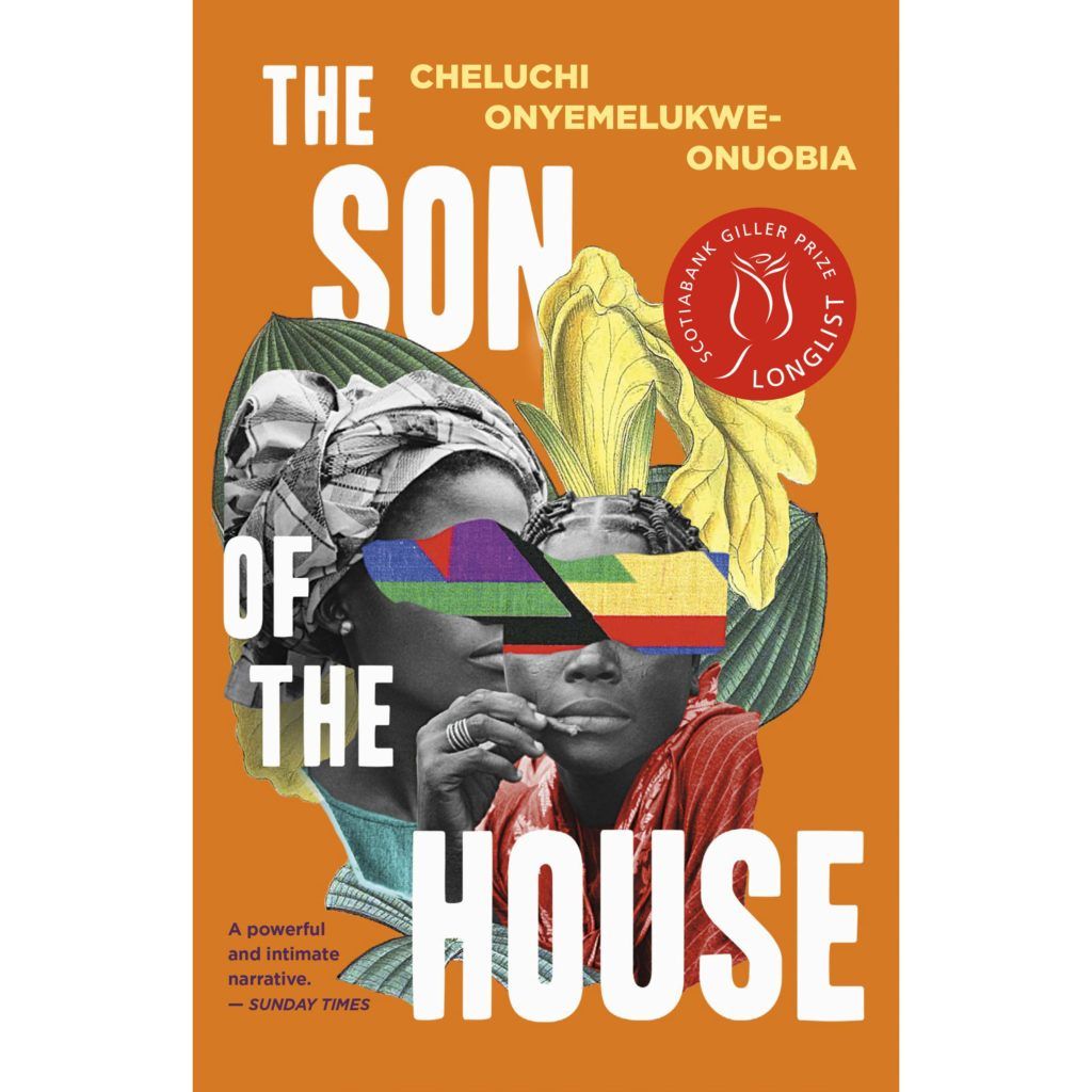 Cover of The Son of the House