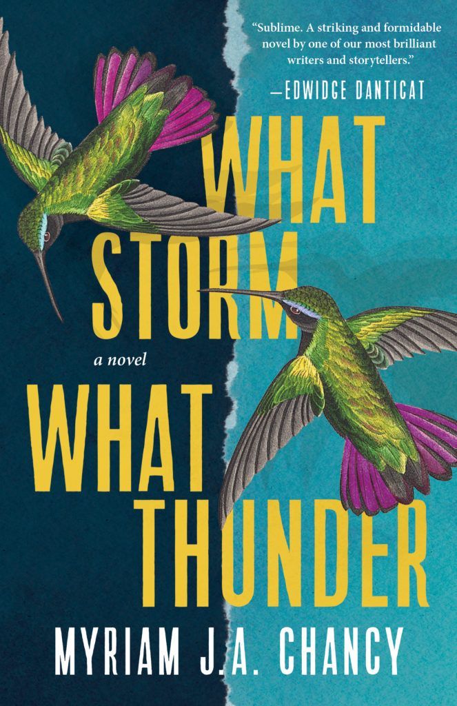 A book called what storm what thunder by myriam ja chancy