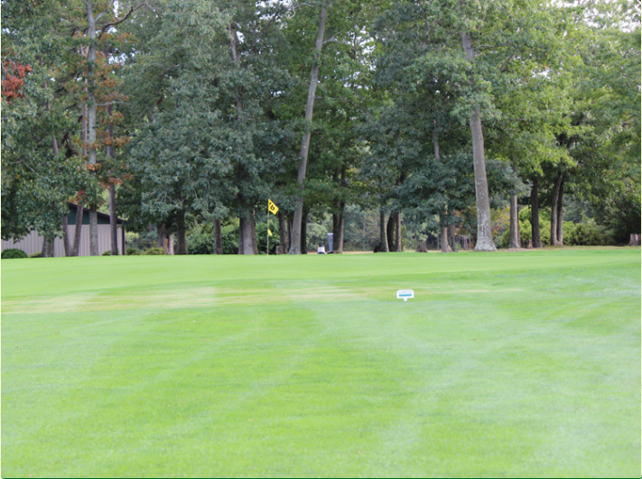 Pinelands Golf Club History of the Course