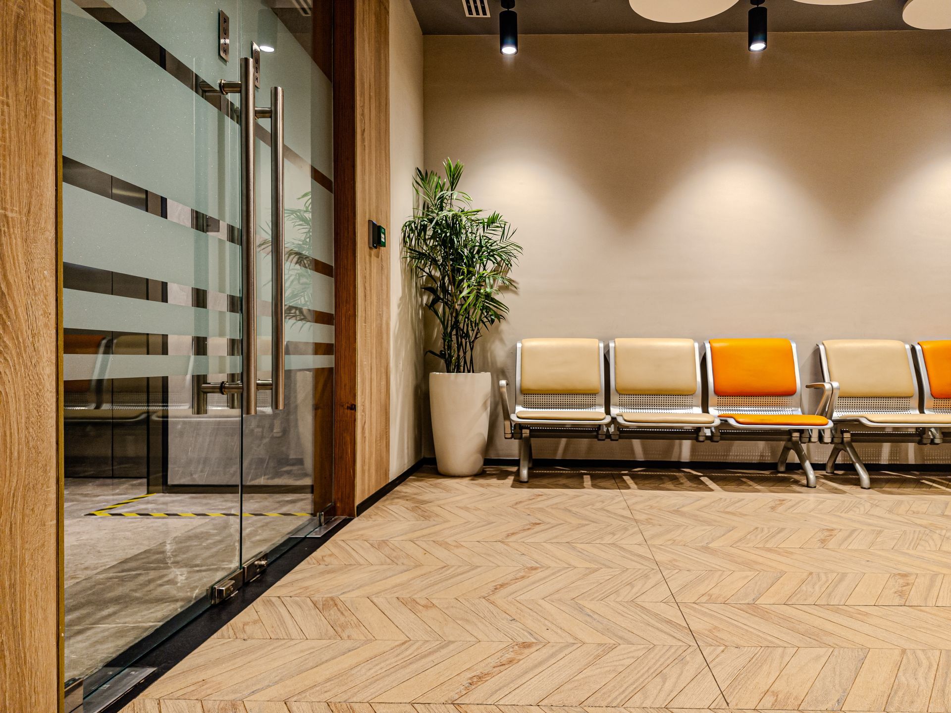Waiting area with chairs, a glass door, and potted plant. Light wood flooring and walls.