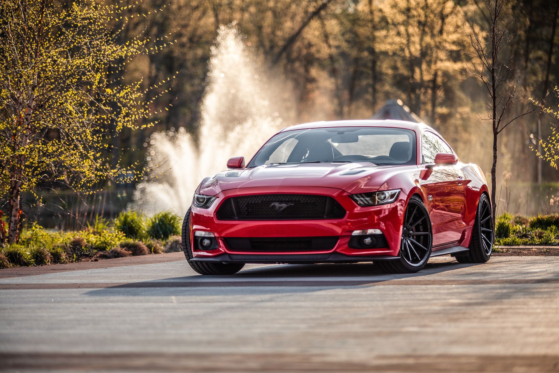Ceramic Coating red car