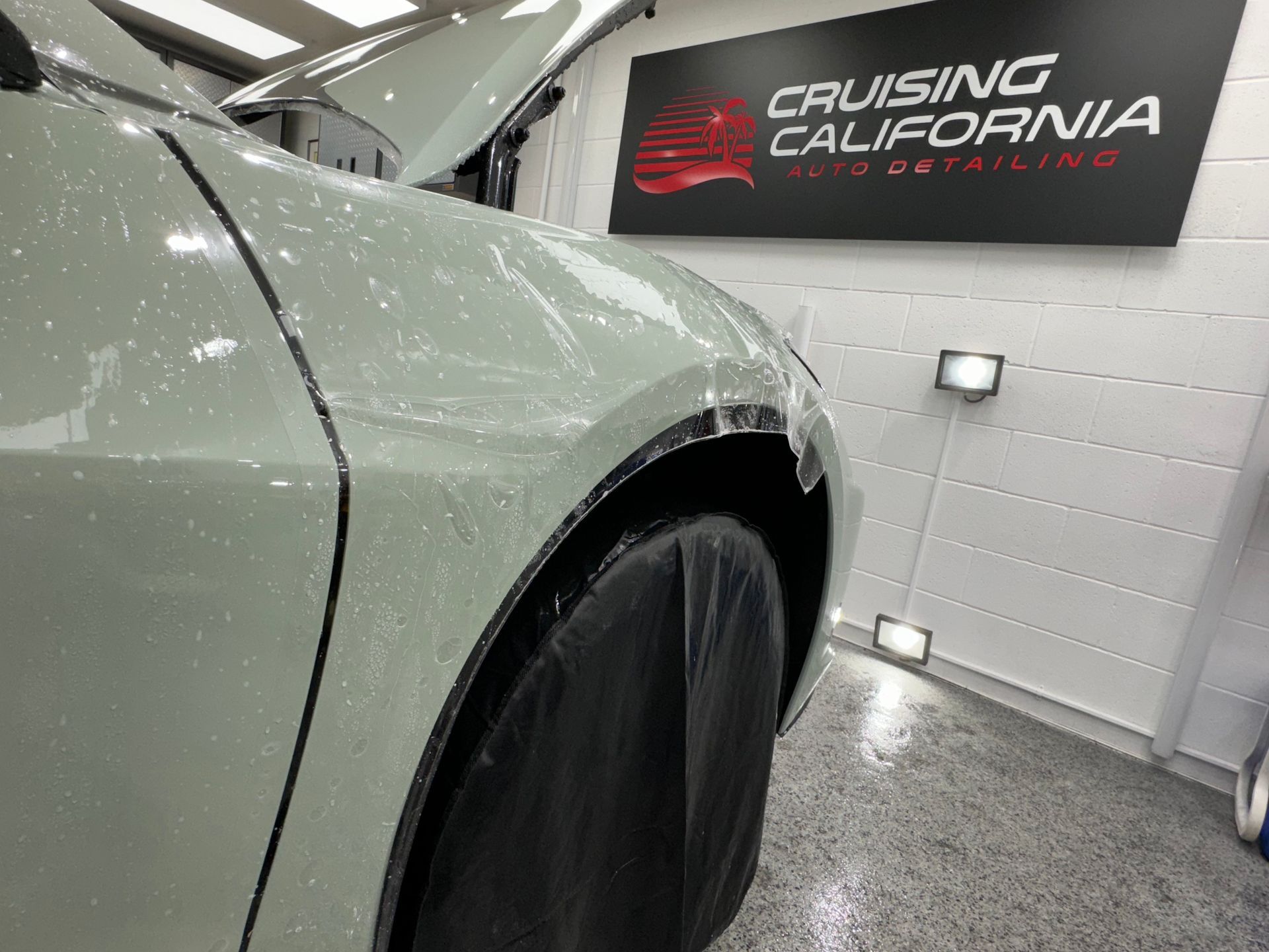 Paint Protection Film Services