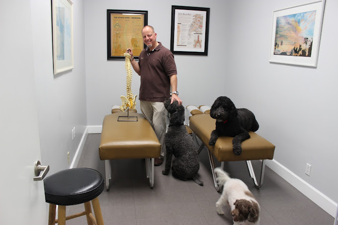 A man holds a spine model in a room with two therapy tables and three dogs.