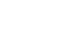 Blank white background.