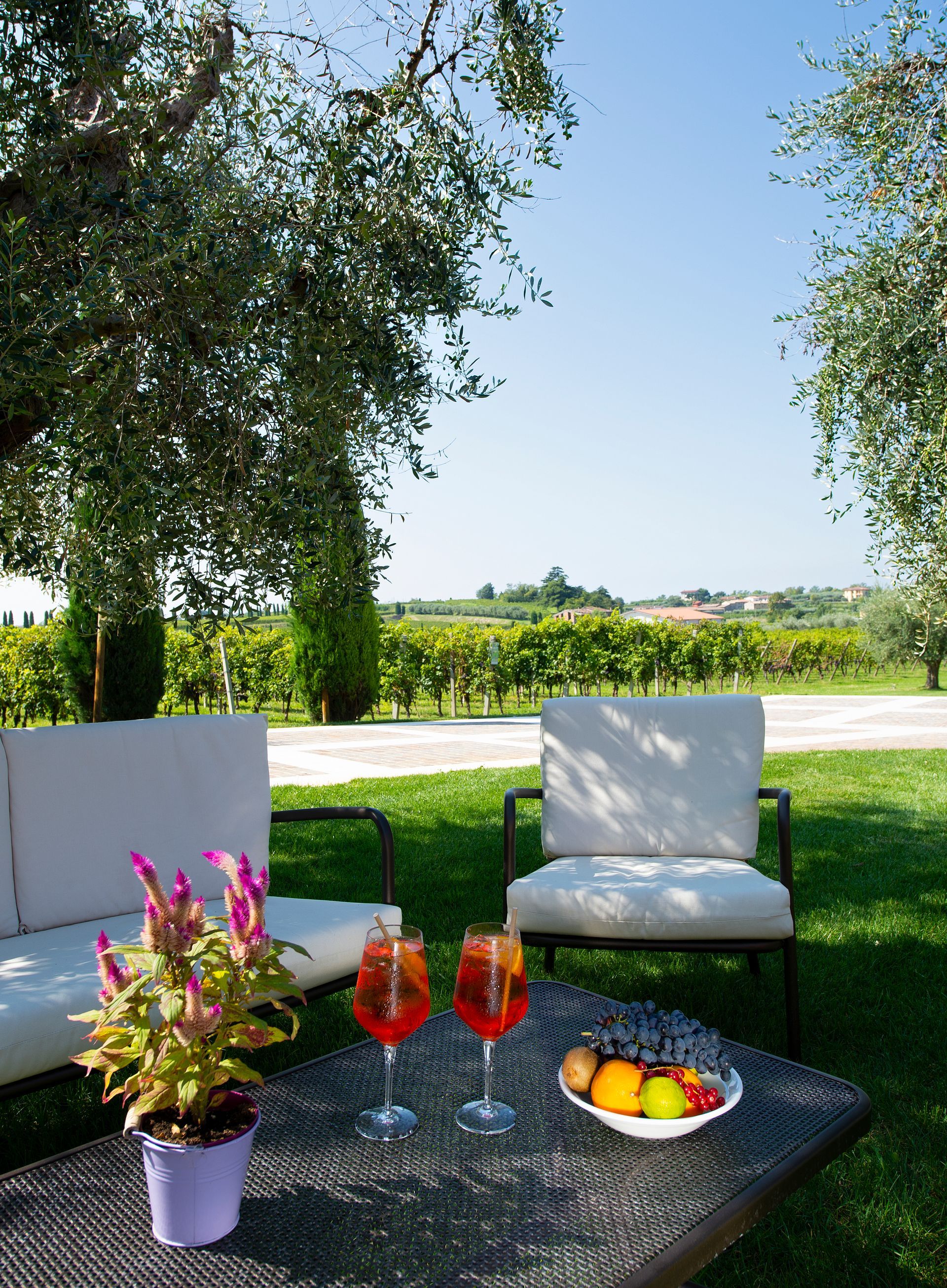 Tavolino da giardino con sedie bianche, frutta e bevande, sotto gli alberi con vista su un giardino soleggiato.