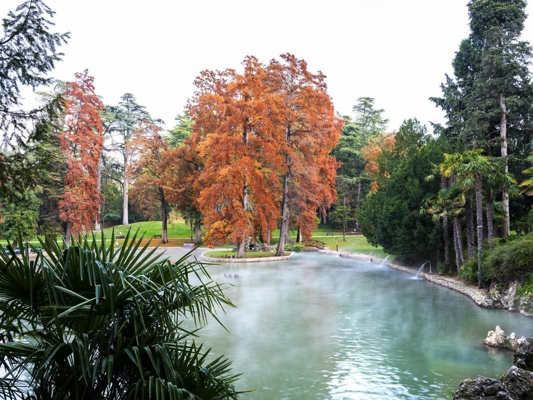 Fiume fumante in un parco con alberi autunnali arancioni e sempreverdi