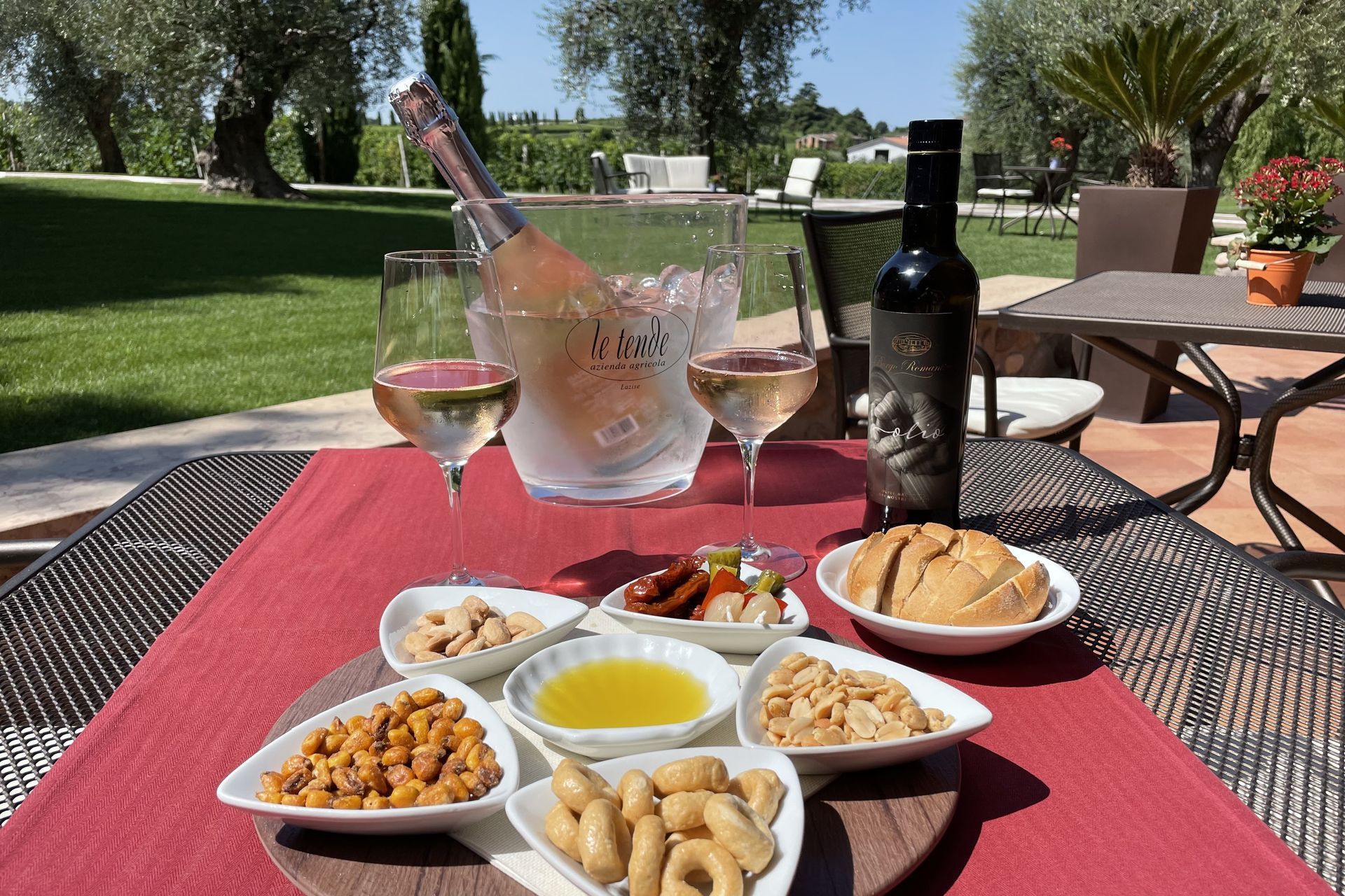 Tavolo all'aperto con antipasti, bicchieri da vino e una bottiglia su una tovaglietta rossa in un soleggiato patio del giardino.