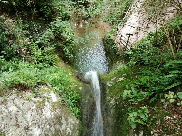 Una piccola cascata scorre attraverso una lussureggiante gola rocciosa.