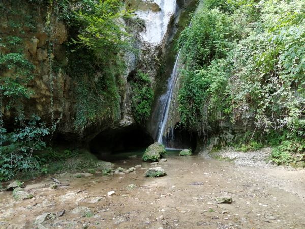 Piccola cascata in una lussureggiante grotta rocciosa con acqua bassa e fangosa e una fitta vegetazione verde.