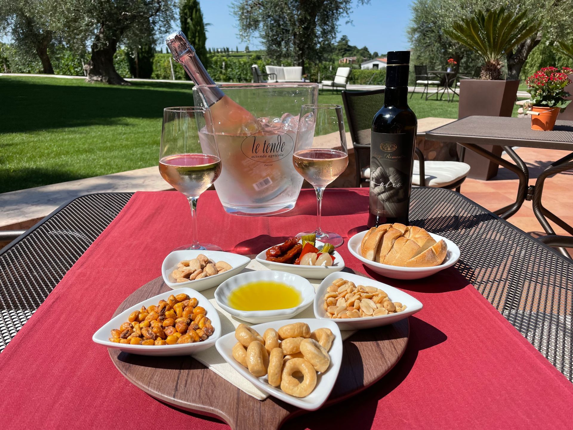 Gartentisch mit rosa Tischdecke, Wein und Snacks auf einer sonnigen Terrasse mit Gartenblick