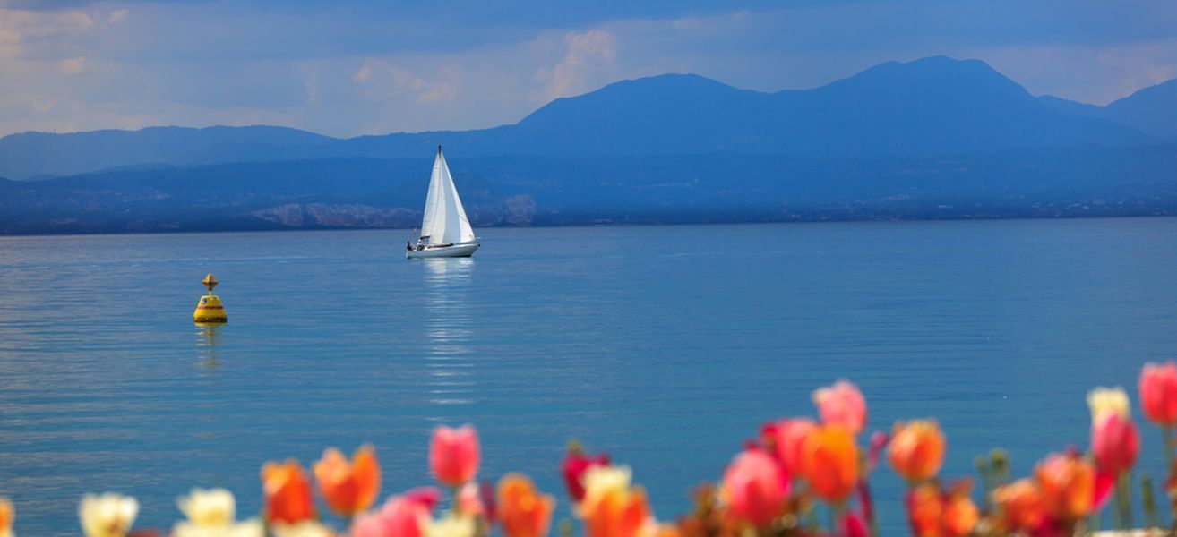 Barca a vela su un tranquillo lago blu con boa gialla e fiori colorati in primo piano, montagne sullo sfondo.