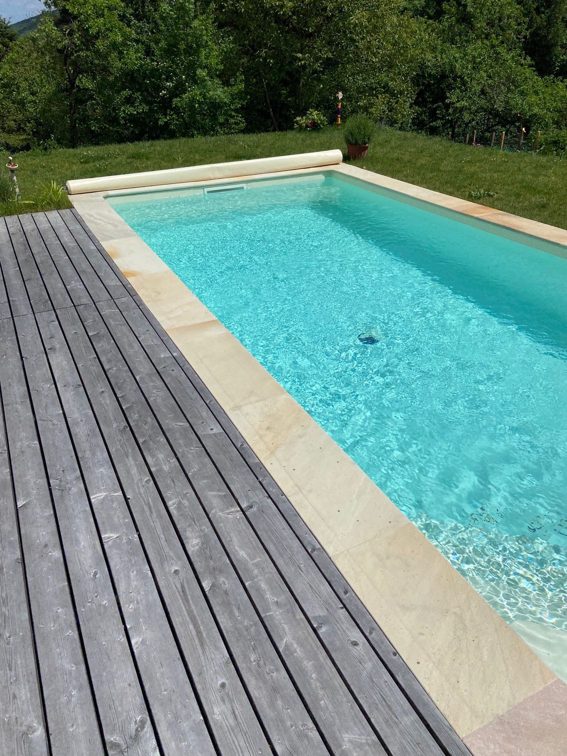 Pool Neubau mit Terrasse