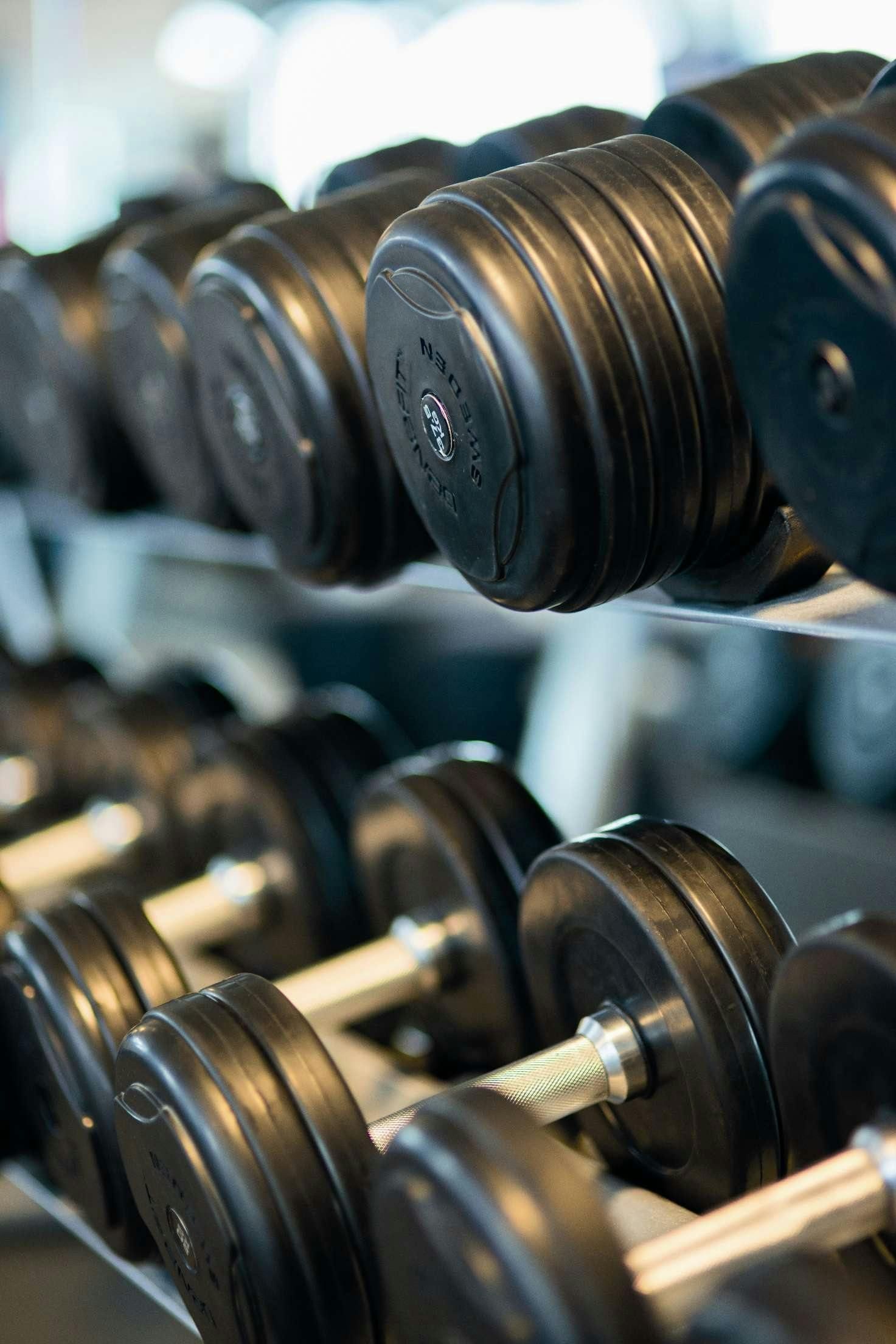 A row of black dumbbells are lined up on a rack in a gym.