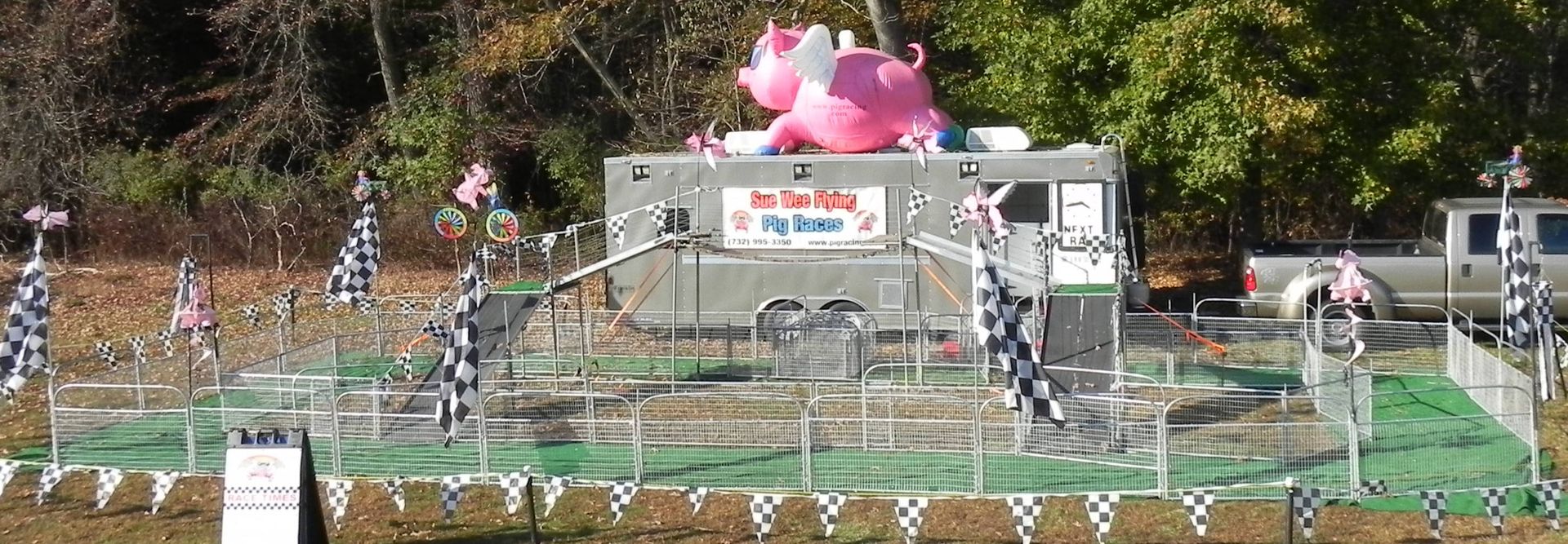 sue wee pig races