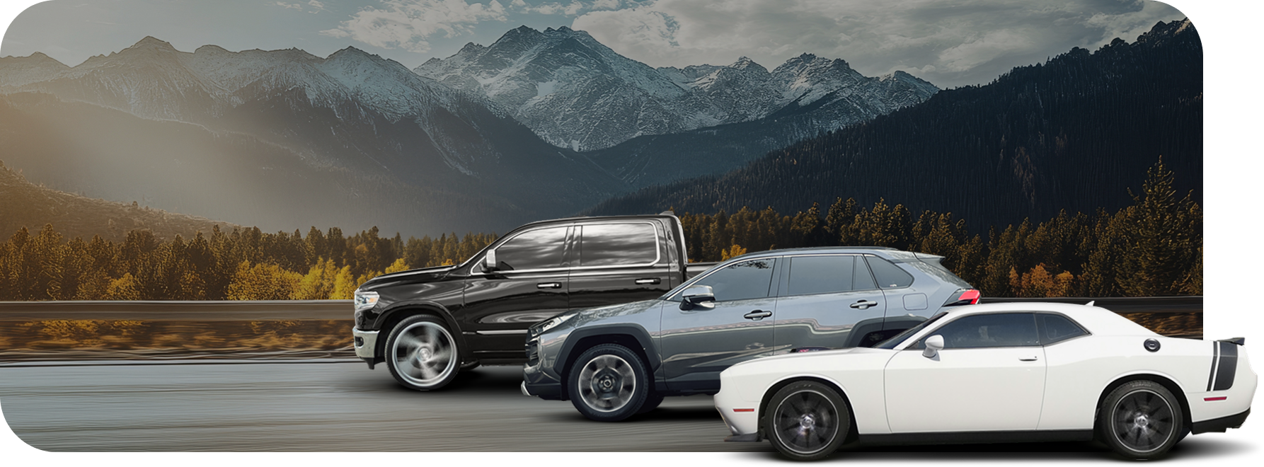 Two cars are parked next to each other in front of a mountain. |  D & B Bear Service