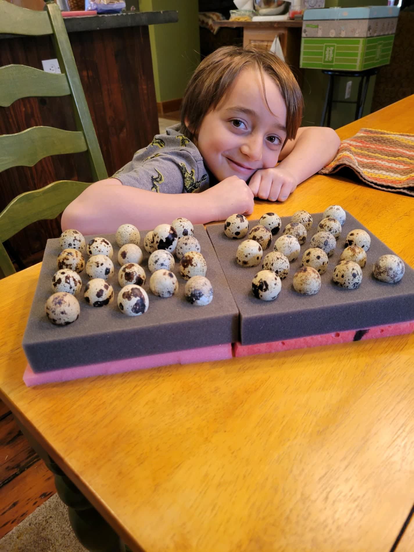 A young boy is sitting at a table with a tray of quail eggs on it.