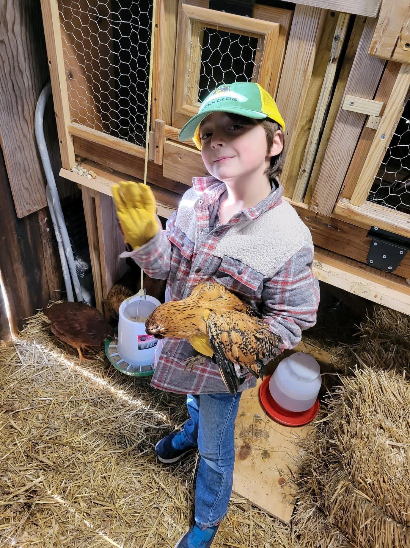 A young boy is holding a chicken in a barn.