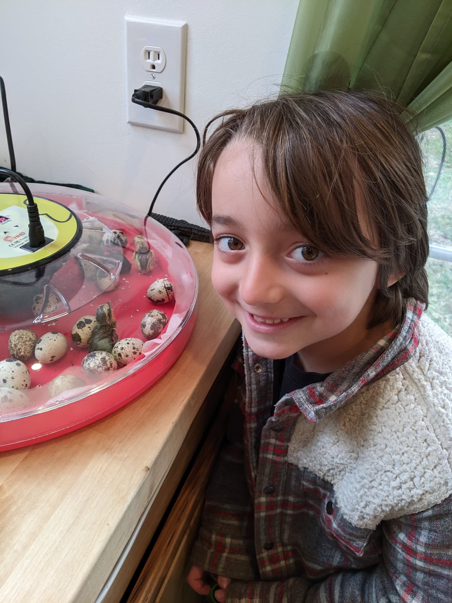 A young girl is smiling in front of a tray of quail eggs
