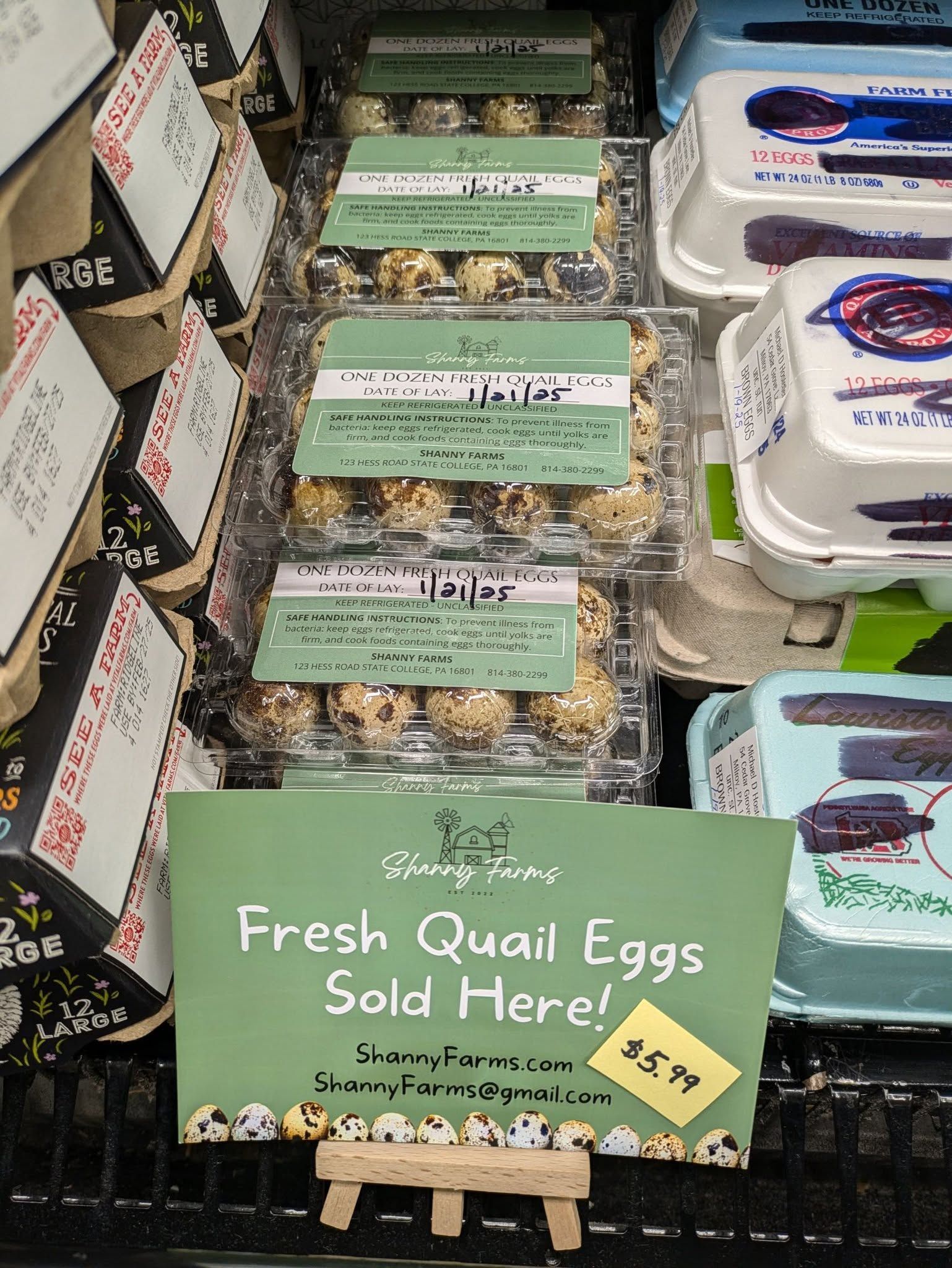 A display of quail eggs with a sign that says fresh quail eggs sold here.