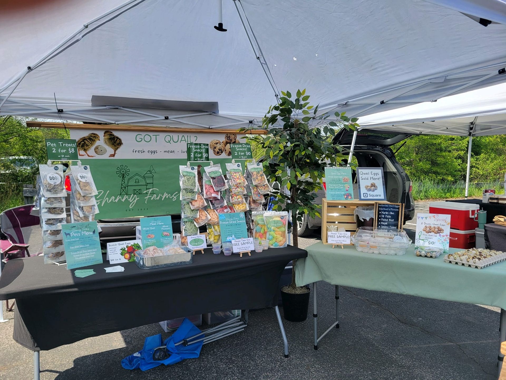 A table with a green sign on it is sitting under a tent.