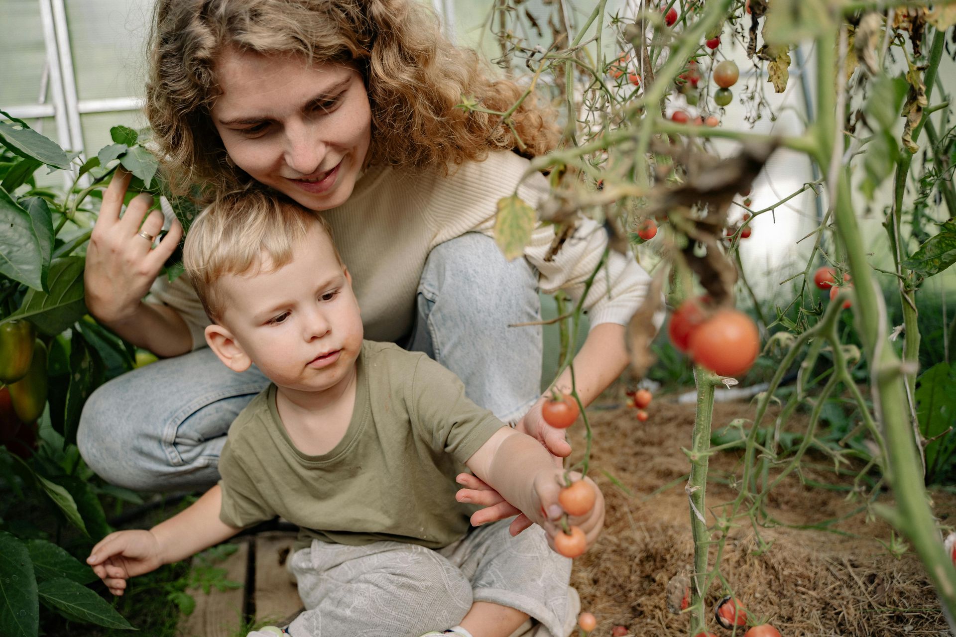 A woman and a child are picking tomatoes from a tomato plant in a greenhouse.