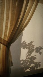 A shadow of a tree is cast on a wall behind a curtain.