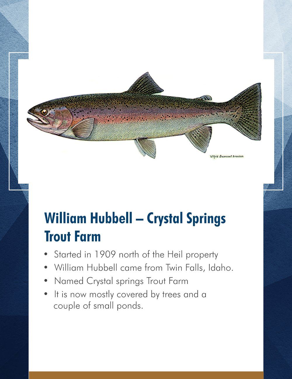 William Hubbell –  Crystal Springs Trout Farm
