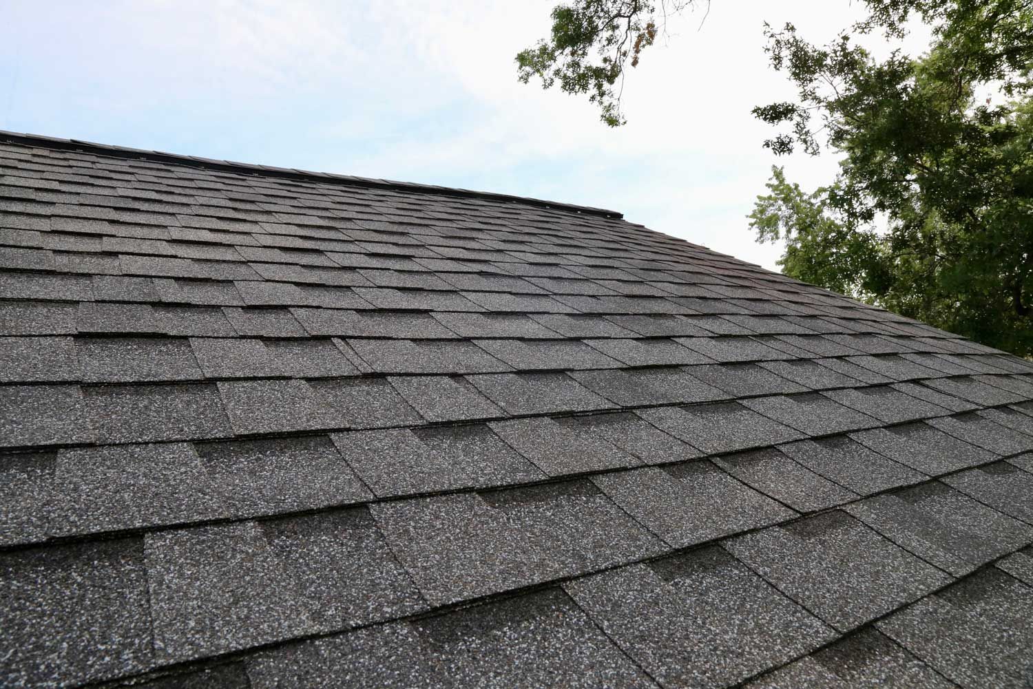 Close-up view of a dark gray asphalt shingle roof against a sky and tree backdrop.