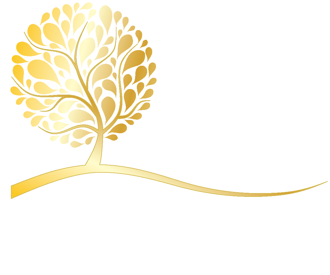 Insurance Plans CT