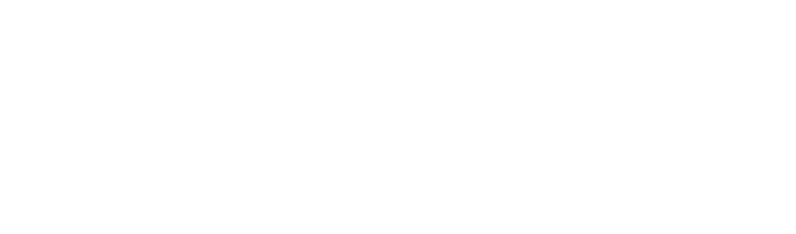 White background with a small dark shape on the left.