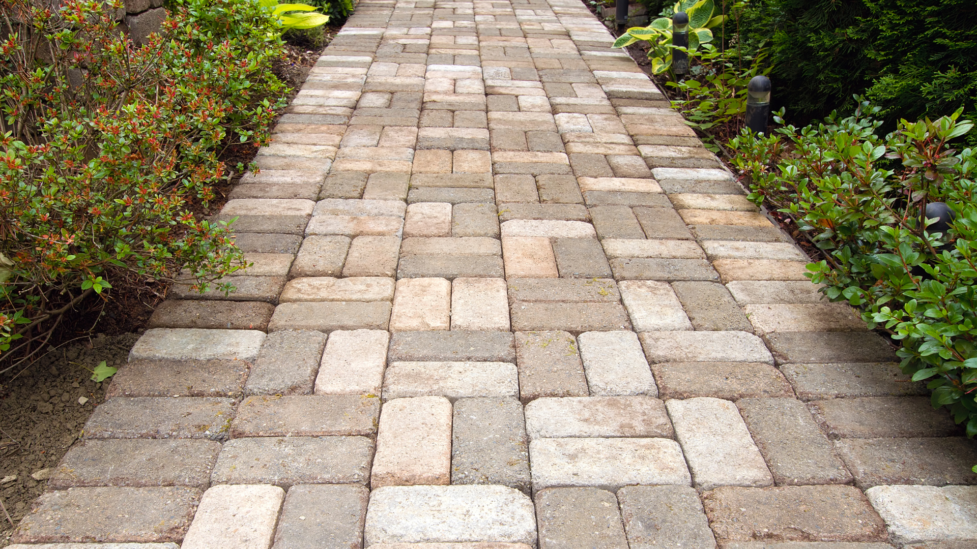 A brick walkway surrounded by bushes and trees in a garden.