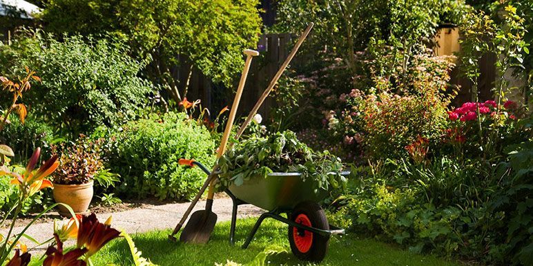A wheelbarrow filled with leaves and gardening tools in a garden.