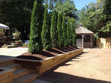 There is a gazebo in the background with trees in the foreground.