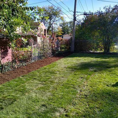 A lush green yard with a fence and trees in the background.