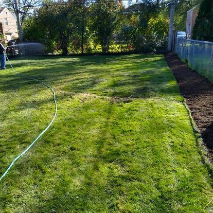 A man is watering a lush green lawn with a hose.
