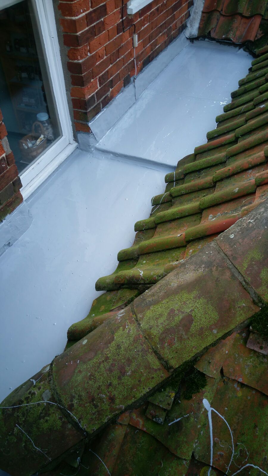 a roof with moss growing on it and a window
