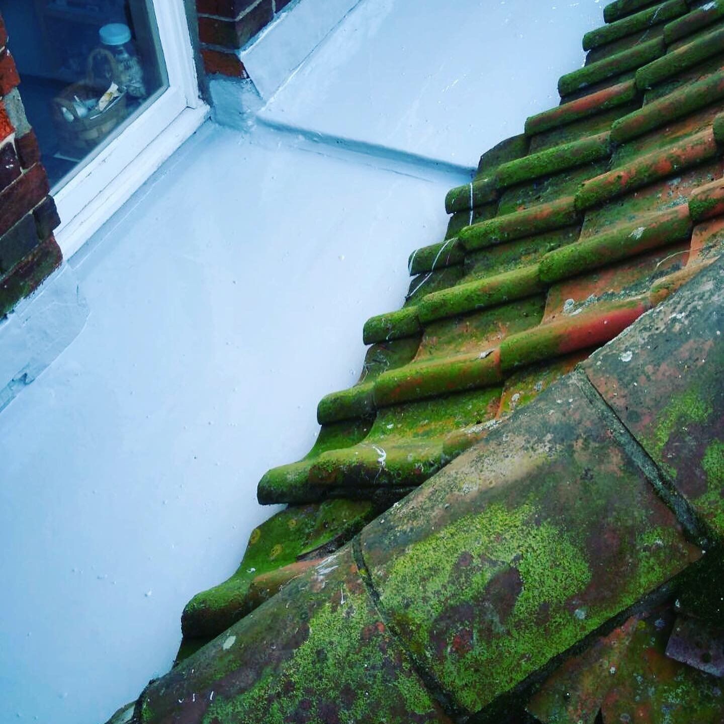 a roof with green moss on it and a window in the background