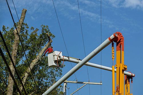 Lineman in bucket truck trimming tree branches near power lines. Blue sky.