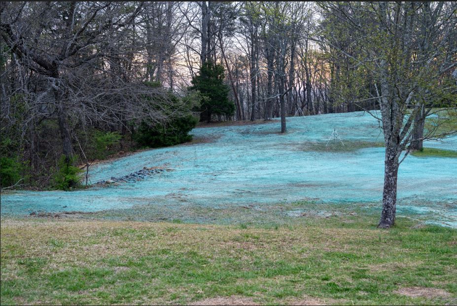 A patch of ground covered in bright blue hydroseed mulch, situated in a wooded residential area.