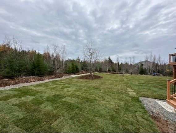 Backyard with freshly cut green grass, trees along the back, and a cloudy sky.